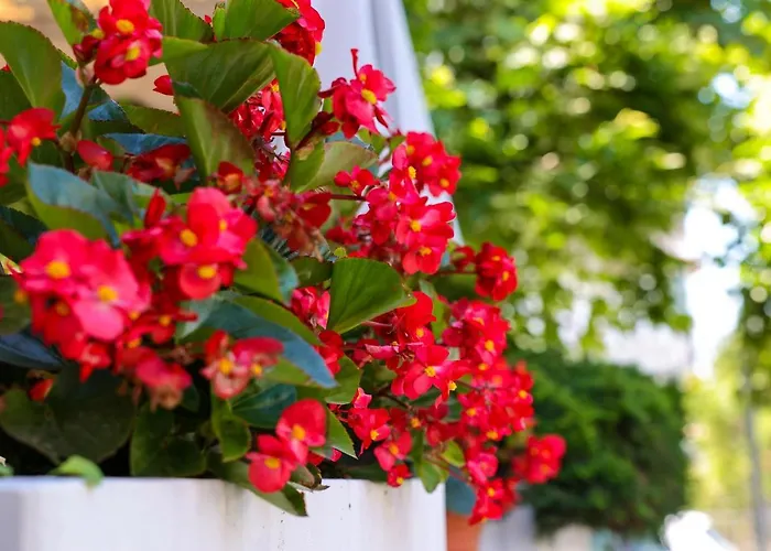 Apartahotel Moras Paralía