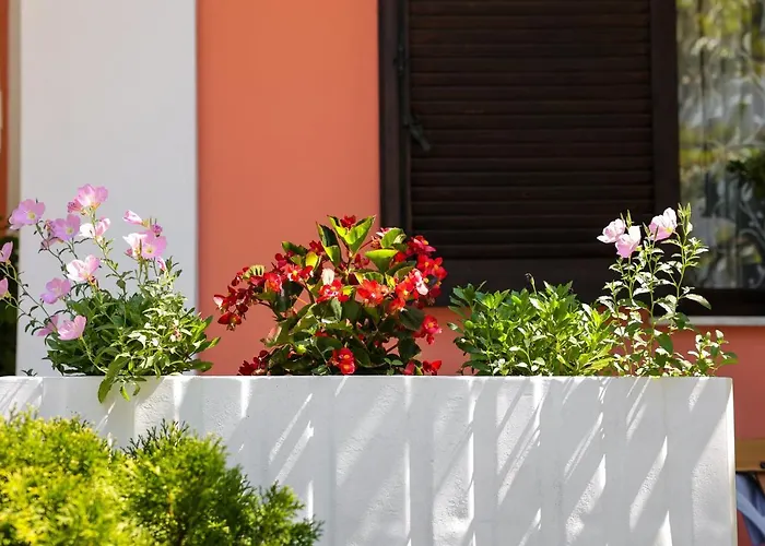 Moras Hotel de apartamente 3*